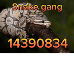 Snek gangs