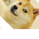 Very doge army
