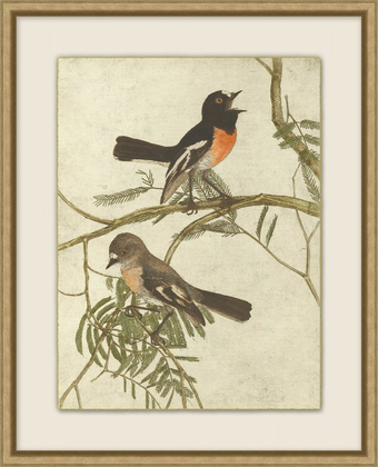 Stylish Painting