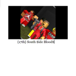 {17TH STR} SOUTH SIDE BLOODS