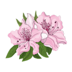 Petal Bloodline