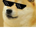 Da doge yay doge only