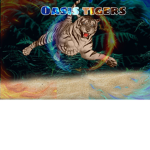 Oasis Tigers