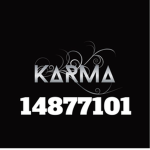 彡KaRMa 彡