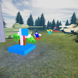 Capture the Flag
