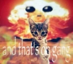 plutσ Group Thumbnail