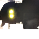 Team blox watch