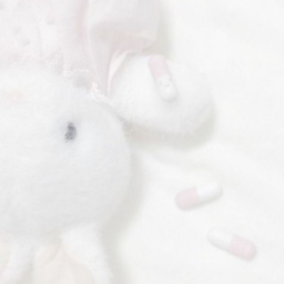 · ·◟𐙚soft usagi!꒰⑅ ´ ˘ ` ⑅ ꒱♡