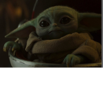 The Yoda and poptarts