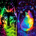 Rainbow wolf pack and cats