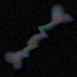 Bones Associatios