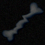 Bones Association