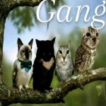 $ Ayyo Group Thumbnail