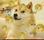 The doge empire!!!!!!!