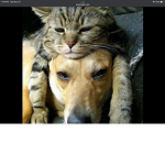 Best friends forever …..!