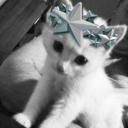 40% Method, BUY ITEMS IN HERE