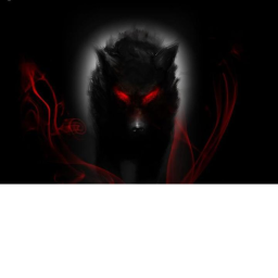 Killer Shadow Wolf's chill hangout