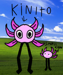 Kinitopet fan