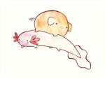 Axolotl's Who Like's Pigs