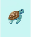 Turtles the best