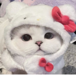 atotacloud