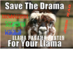 ~~~LLAMA PAGAMA PARTEH!!!!!~~~