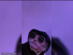 Just a vibe cat