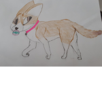 Fennec fanatic club!