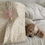 Kitten and puppy lovers