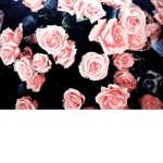 LemonxRose