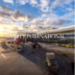 Apsley International Airport