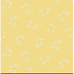 Lemon girls10