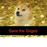 the Doge operation