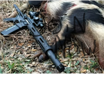 Hogs United