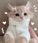 Milla aesthetic clothing shopping