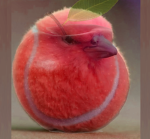 Juicy Apple Studio