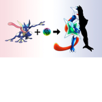 Pokemon Go2
