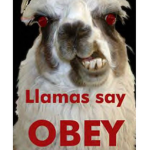 S̴p̴i̴r̴i̴t̴ ̴A̴n̴i̴m̴a̴l̴s̴