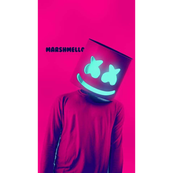 Marshmello and alan walkers disco