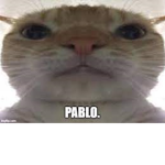 Cat/Pablo Family Group