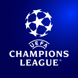 UEFA Match Pitch