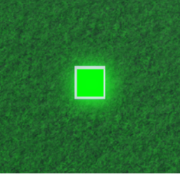 Totally Not a Crazy Button