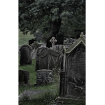 Graveyard Bunniez