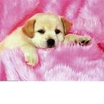 For my friends dont mind..