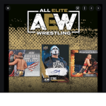 The All Elite Wrestling