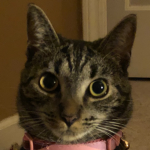 Hi u are great