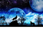 Eclips dark side