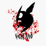 NIGHT RAIDZ