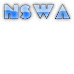 Non-Stop Wrestling Action