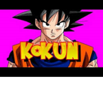 Los seguidores